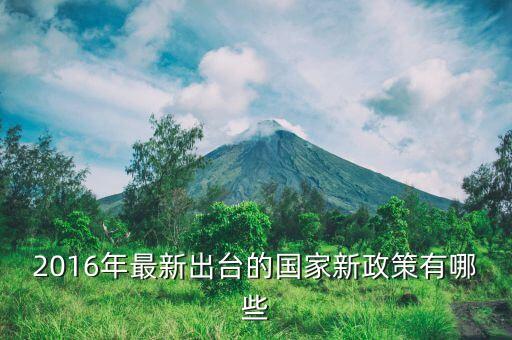 2016年什么新政策，2016年國家有什么新政策