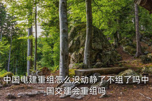 中國電建重組怎么沒動靜了不組了嗎中國交建會重組嗎