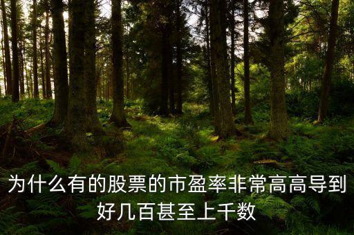 中國(guó)股市市盈率為什么那么高，為什么市盈率突然那么高