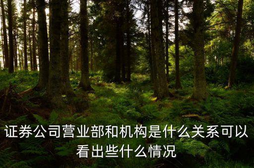 敢死隊營業(yè)部什么意思，實力游資這樣玩股票節(jié)奏怎么踩
