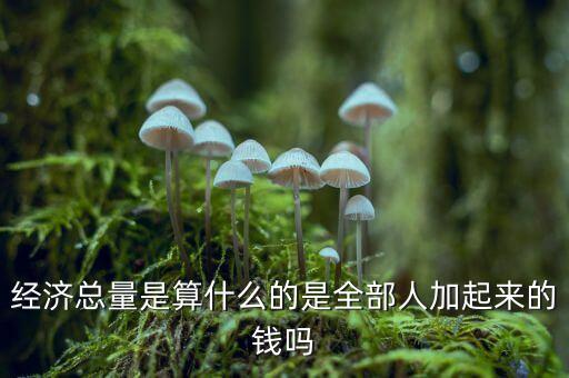 經(jīng)濟(jì)總量是什么，什么是經(jīng)濟(jì)產(chǎn)出總量