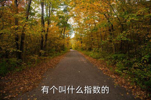 有個叫什么指數的