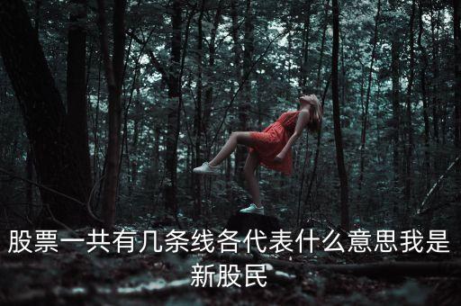 股票一共有幾條線各代表什么意思我是新股民