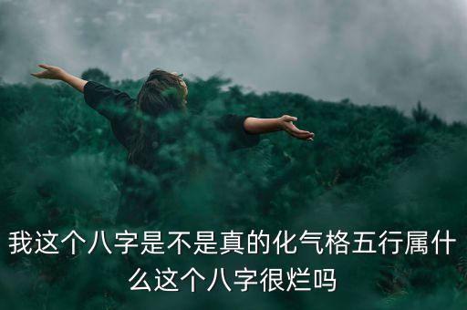 我這個八字是不是真的化氣格五行屬什么這個八字很爛嗎