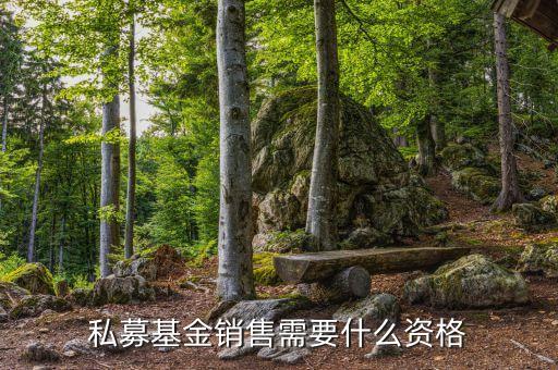 銷售基金需要什么資質(zhì)，財富公司銷售金融產(chǎn)品需要什么牌照或者資質(zhì)