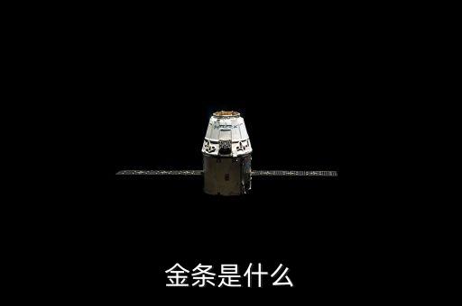 金條是什么