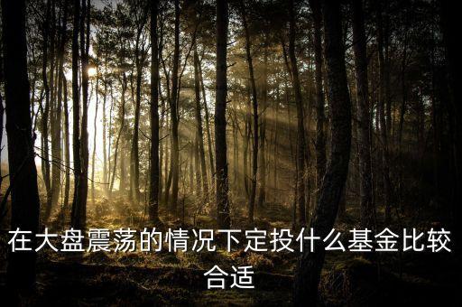 大盤(pán)調(diào)整買(mǎi)什么基金好，在大盤(pán)震蕩的情況下定投什么基金比較合適
