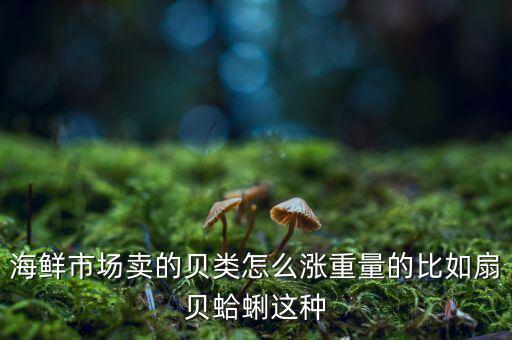 海鮮市場賣的貝類怎么漲重量的比如扇貝蛤蜊這種