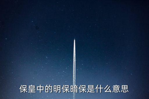 擔(dān)保暗保什么意思，社會(huì)保障體系的 明保 和 暗保 是什么也意思大致說(shuō)一下謝謝