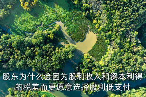 為什么發(fā)放股票股利會資本利得稅，股東為什么會因為股利收入和資本利得的稅差而更愿意選擇股利低支付
