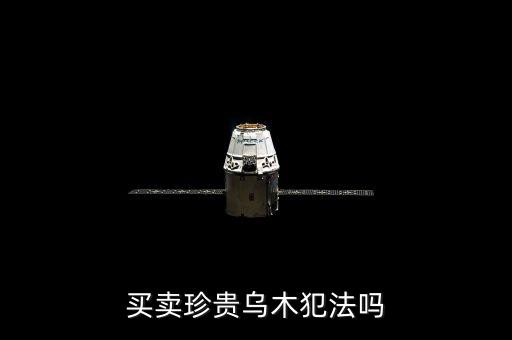 買賣珍貴烏木犯法嗎