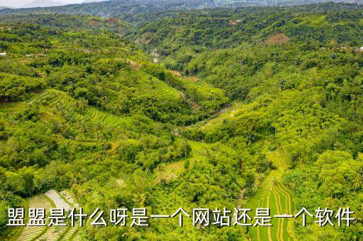 盟盟是什么呀是一個網(wǎng)站還是一個軟件