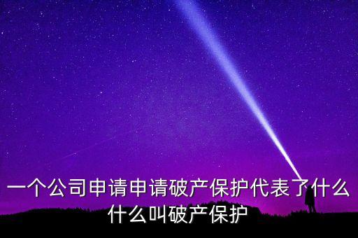 申請破產(chǎn)保護是什么意思，破產(chǎn)保護是什么意思