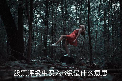 b級(jí)股票是什么，股票評(píng)級(jí)中買入B級(jí)是什么意思