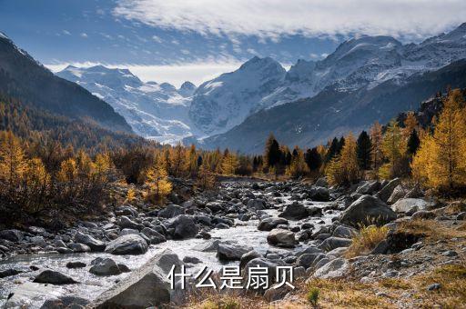 扇貝吊籠地播什么意思，什么是扇貝