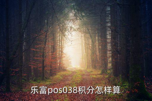 樂(lè)富pos038積分怎樣算