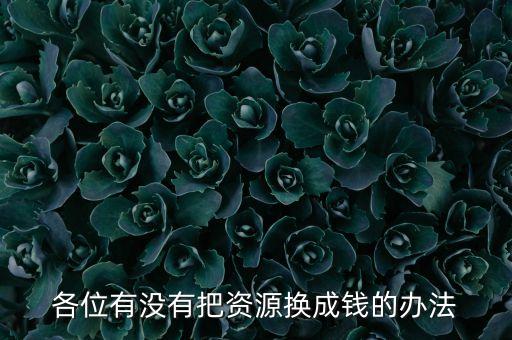通過什么將資源轉(zhuǎn)化為財(cái)富，各位有沒有把資源換成錢的辦法