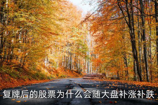 股票復(fù)牌為什么會(huì)補(bǔ)跌，復(fù)牌后的股票為什么會(huì)隨大盤(pán)補(bǔ)漲補(bǔ)跌