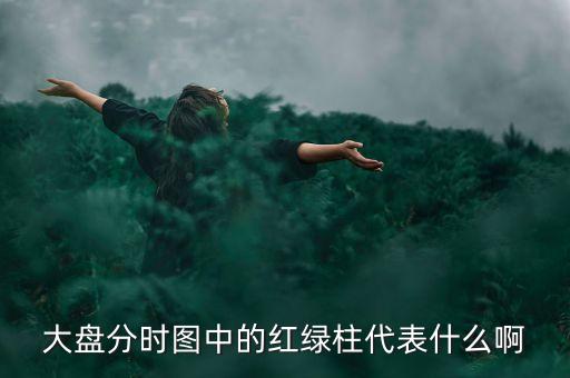 大盤分時線隨近的柱代表什么，股票分時圖下面黃藍(lán)白柱各表示什么