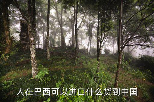 中國從巴西進口什么，中國向巴西進口哪些東西