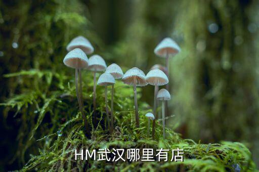 武漢禧h酒店什么時間開業(yè)，武漢哪里有快開張的酒店