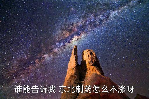 東北制藥為什么不漲，002251為什么不漲是不是公司出問題了