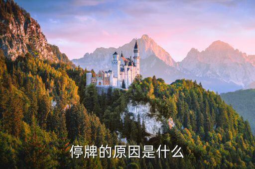 中國巨石為什么停牌，000009今天為何停牌