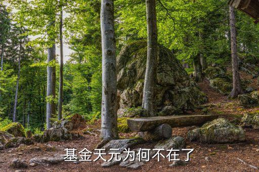 基金天元為什么停牌，基金天元為何不在了