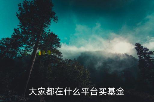 什么網(wǎng)買基金，大家都在什么平臺買基金