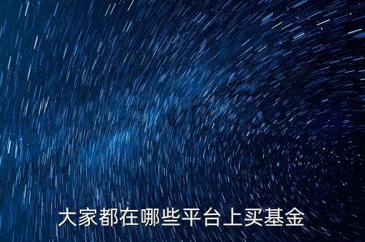 大家都在哪些平臺(tái)上買基金