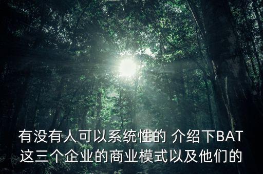 有沒有人可以系統(tǒng)性的 介紹下BAT這三個企業(yè)的商業(yè)模式以及他們的