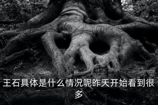 王石具體是什么情況呢昨天開始看到很多