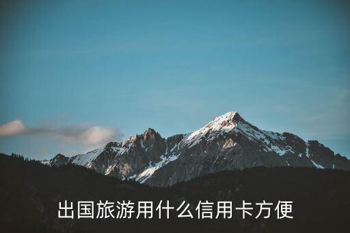出國(guó)旅游需攜帶什么信用卡，我想去美國(guó)旅游我應(yīng)該申請(qǐng)什么信用卡合適