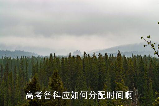 高考各科應(yīng)如何分配時間啊