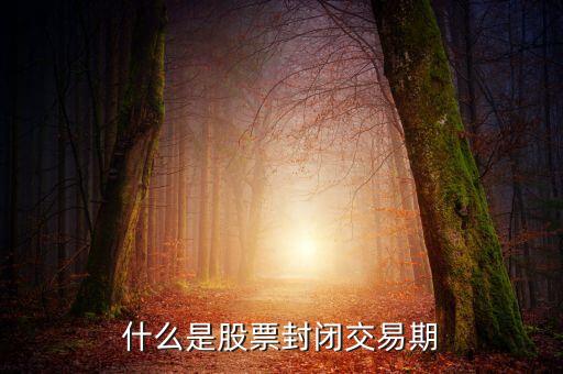 股票封閉期是什么意思，理財通里什么是封閉期