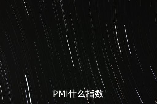 PMI什么指數(shù)