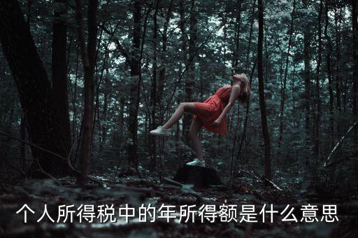 個(gè)人所得稅中的年所得額是什么意思