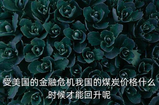 受美國的金融危機我國的煤炭價格什么時候才能回升呢