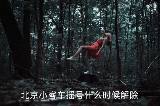 北京小客車(chē)搖號(hào)什么時(shí)候解除