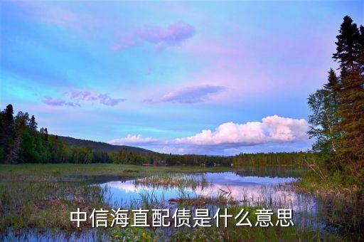 中信海直配債是什么意思