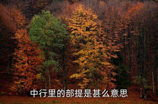 中國銀行部提是什么意思，中國銀行部提是什么意思