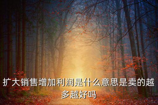 擴(kuò)大銷售增加利潤是什么意思是賣的越多越好嗎