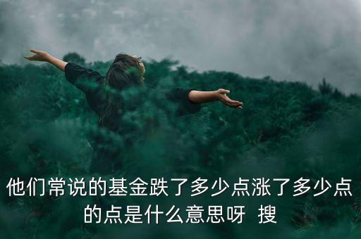 基金降了幾個點什么意思，基金止跌百分之五是什么意思