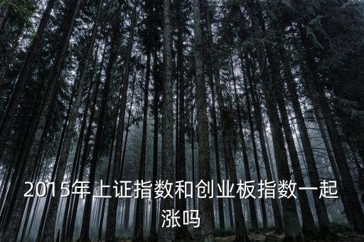 2015年創(chuàng)業(yè)板為什么漲，2015年上證指數(shù)和創(chuàng)業(yè)板指數(shù)一起漲嗎