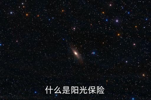 什么是陽光保險，陽光保險這是什么意思我沒有辦理啊