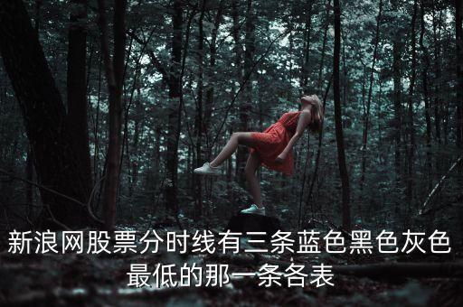 新浪網(wǎng)股票分時線有三條藍(lán)色黑色灰色最低的那一條各表