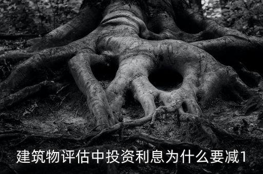 建筑物評估中投資利息為什么要減1
