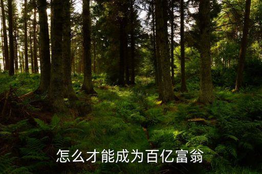 拿什么沖百億，怎么才能成為百億富翁