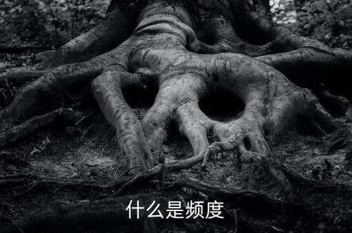 什么是頻度