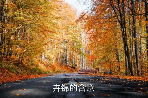 卉錦的含意